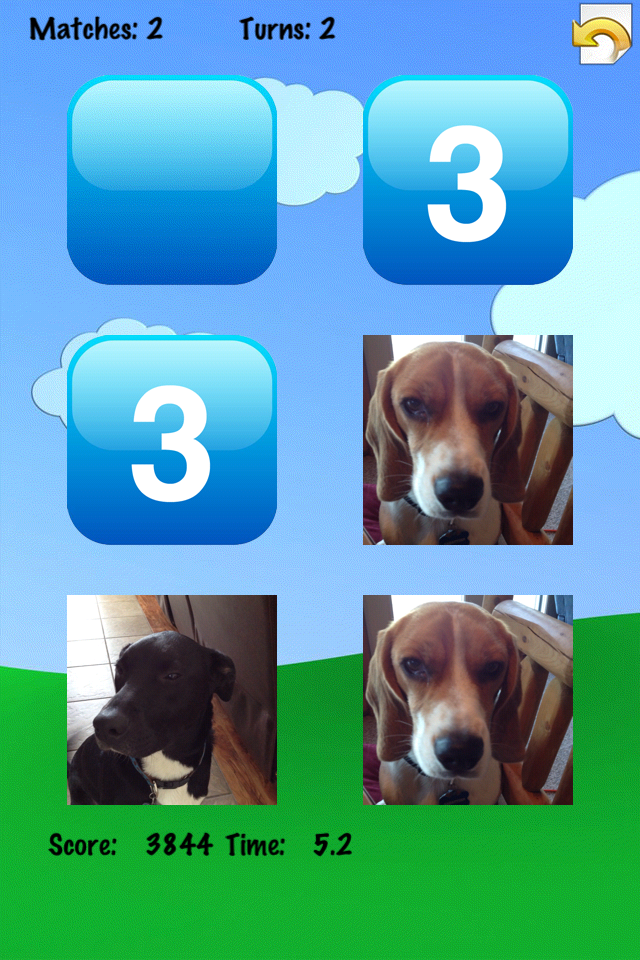 buy in the app store Buy in the app store